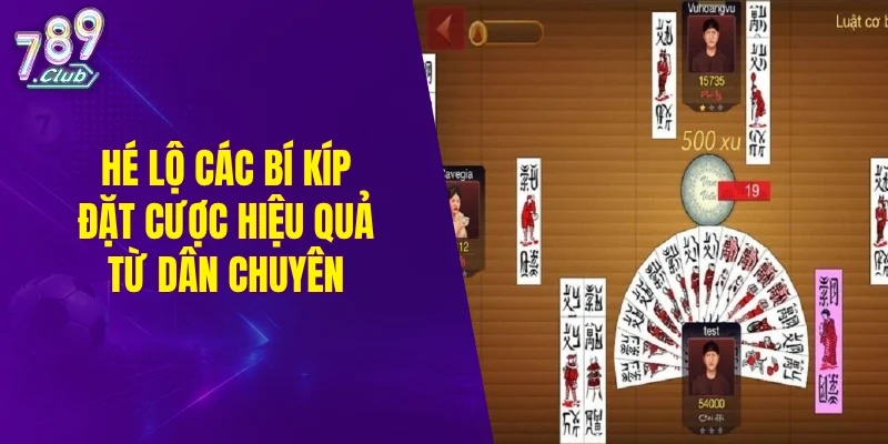 Hé lộ các bí kíp đặt cược hiệu quả từ dân chuyên