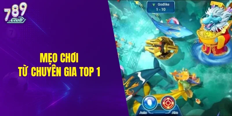 Mẹo chơi từ chuyên gia top 1