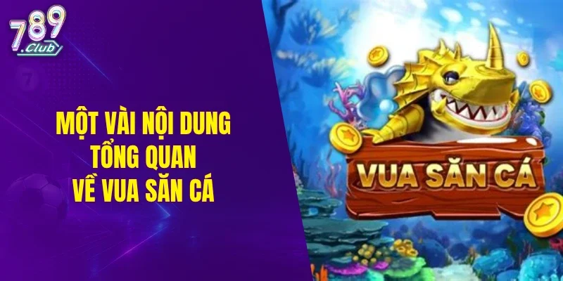 Một vài nội dung tổng quan về vua săn cá