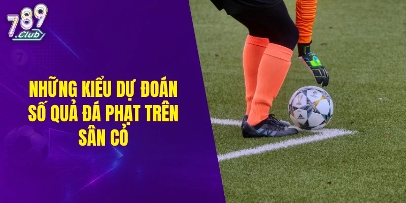 Những kiểu dự đoán số quả đá phạt trên sân cỏ