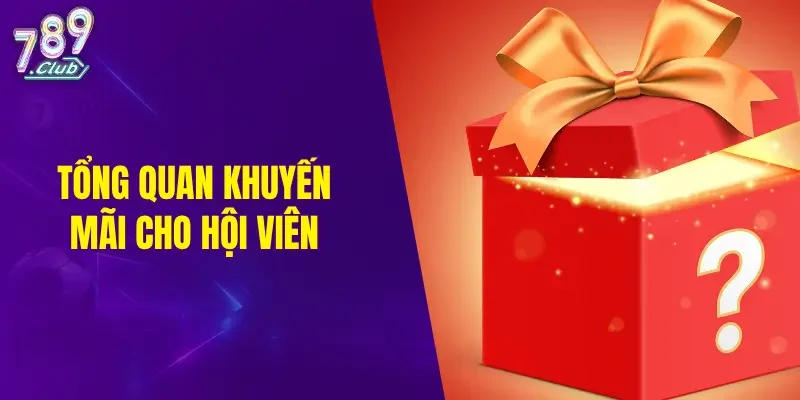 Tổng quan khuyến mãi cho hội viên