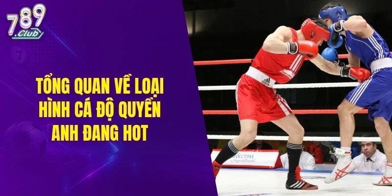 Tổng quan về loại hình cá độ quyền anh đang hot