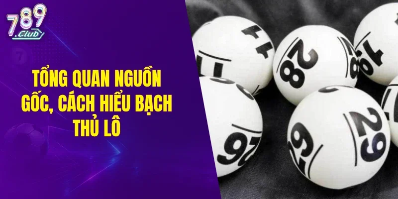 Tổng quan về nguồn gốc và cách hiểu